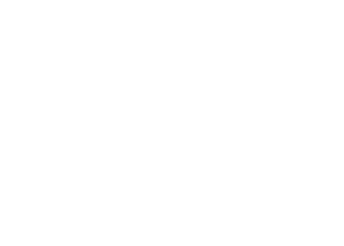 Levis RM Logo